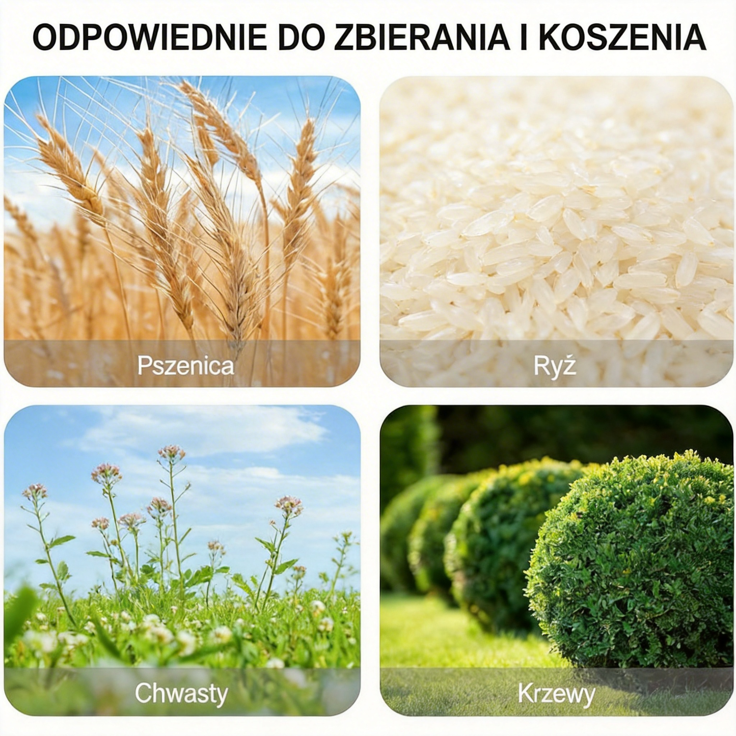 Wzmocnione i trwałe uniwersalne 6-ostrzowe ostrze do kosiarki 🌿 mocne koszenie trawy i zarośli, ostre i wydajne 💪🔥
